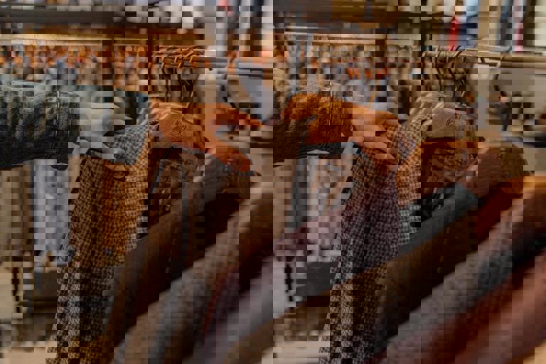 Retailers Ditch Plastic Tags in Fast Move Toward Biodegradable Labelling